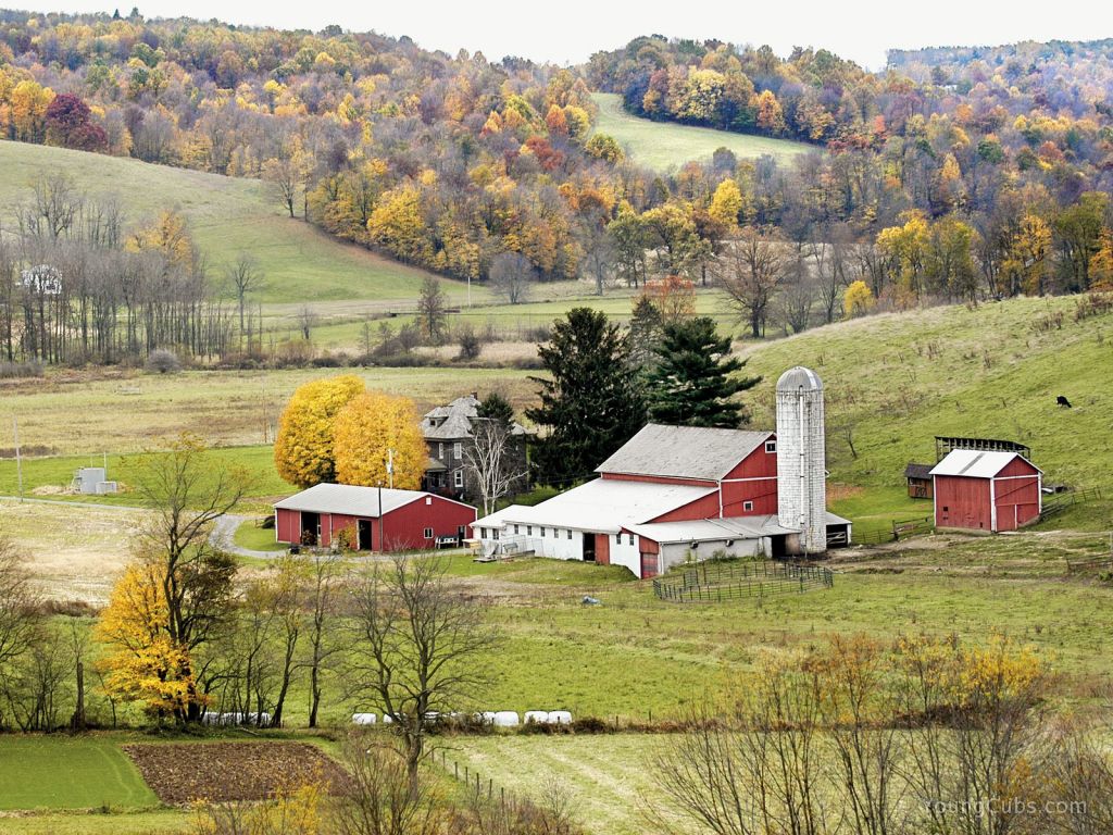 Amish Country, Ohio